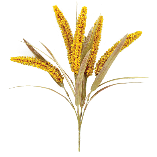 Organic Millets