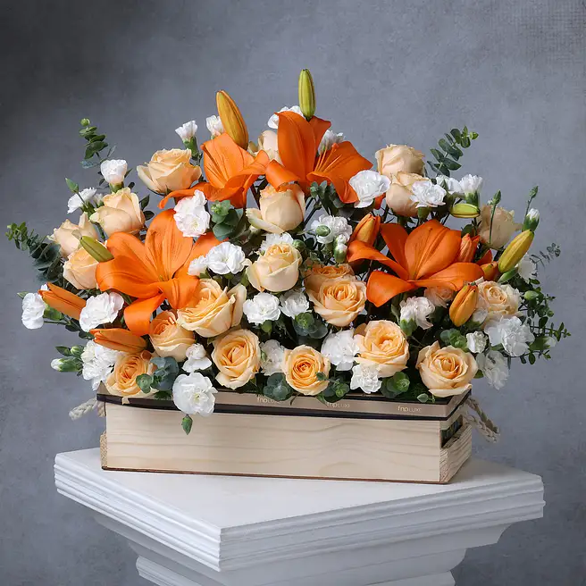 Apricot Lily